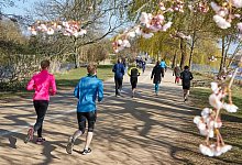 Joggende Menschen in einem Park - Foto: Georg Wendt/dpa/dpa-tmn