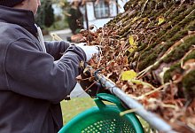 So wird die Regenrinne frei von Laub - Nestor Bachmann/dpa-tmn