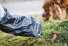 Hundekot - Christoph Schmidt/dpa/Archivbild