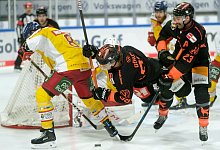 Test-Turnier - Foto: Peter Steffen/dpa