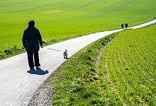 Spaziergang mit Hund - Foto: Jonas G&uuml;ttler/dpa/dpa-tmn