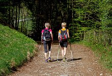 Nordic Walking - Symbolfoto: Pixabay