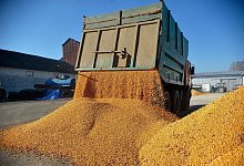 Ukrainische Wirtschaft - ---/Ukrinform/dpa