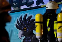 Einsatzkr&auml;fte der Feuerwehr arbeiten am Tropenhaus des K&ouml;lner Zoos. - Rolf Vennenbernd/dpa/Archivbild