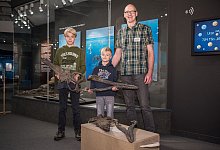 Krokodilsch&auml;del - LWL/Steinweg