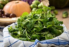 Feldsalat liegt in einer Sch&uuml;ssel - Christin Klose/dpa-tmn