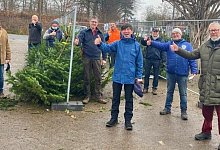 weihnachtsbaumverkauf - Rotary Club Detmold / Blomberg