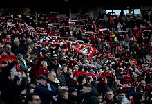 Bayer Leverkusen - Fabian Strauch/dpa