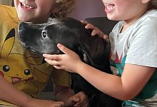 lillifee-hazel_0625 - Tierschutz der Tat