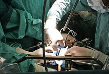 Organspende - Foto: Jan-Peter Kasper