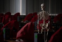 Im H&ouml;rsaal - Sebastian Gollnow/dpa/dpa-tmn