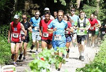 Hörster Waldauf - 1 - Oliver König