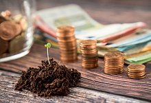 Ein zartes Pfl&auml;nzchen w&auml;chst vor Geldm&uuml;nzen und -scheinen. - Foto: Christin Klose/dpa-tmn