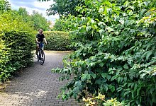 Werner Kloppmann - Katrin Kantelberg