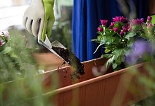 K&uuml;bel K&auml;sten Gartenger&auml;te Gartenwerkzeug - Franziska Gabbert/dpa-tmn/dpa