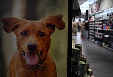 Fressnapf - Federico Gambarini/dpa