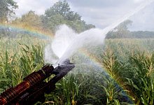 Nationale Wasserstrategie - Foto: Julian Stratenschulte/dpa