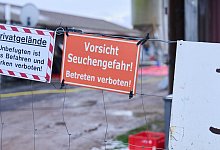 Maul- und Klauenseuche in Brandenburg - Annette Riedl/dpa