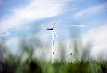 Wer in nachhaltige Geldanlagen investieren will, sollte sich nicht von vermeintlich gr&uuml;nen Werbeversprechen blenden lassen. - Arno Burgi/dpa-Zentralbild/dpa-tmn