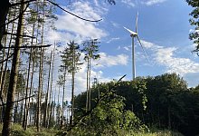 hbm-stadtwald-buchen-und-windrad-6 - 1 - Archivfoto: Cordula Gröne