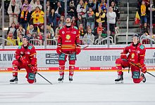 Düsseldorfer EG - Grizzlys Wolfsburg - Rolf Vennenbernd/dpa