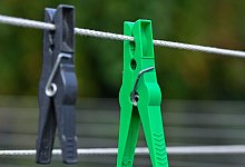 W&auml;scheklammern in den Farben der Parteien schwarz und gr&uuml;n - Patrick Pleul/dpa-Zentralbild/ZB/Illustration