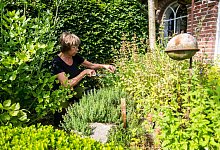 Kräuter aus dem eigenen Garten - Benjamin Nolte/dpa-tmn