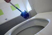 Eine glänzende Klobürste über einer Toilettenschüssel - Klaus-Dietmar Gabbert/dpa-tmn