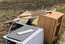 wilder_mull_2_petercord - Britta Petercord