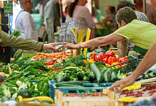 urn:newsml:dpa.com:20090101:250814-935-768721 - Andreas Arnold/dpa