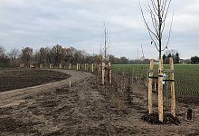 Kreisel Ostwestfalenstra&szlig;e - Thomas Reineke