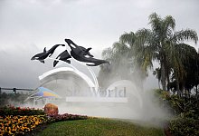 Eingang zum SeaWorld in Florida - Preston Mack/EPA/dpa-tmn