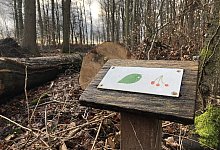 IMG_4604 - Sven Kienscherf