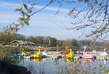 miw-schieder-1 - Michaela Weiße