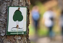 Wegzeichen Pfad der Achtsamkeit - Andreas Drouve/dpa-tmn