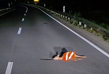 Totes Reh mit Warnweste - Foto: Polizei/Polizeipr&auml;sidium S&uuml;dhessen/dpa