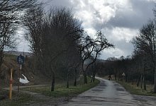 Wolfsiek - Sylvia Frevert(LZ)