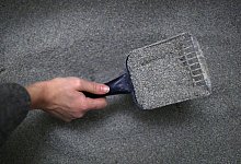 Katzenstreu soll auch Ger&uuml;che binden - Foto: Ina Fassbender/dpa-tmn