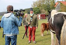 Ponyhof - Reinhold S&ouml;lter