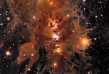 Messier 78 - ESA/Euclid/Euclid Consortium/NASA/J.-C. Cuillandre (CEA Paris-Saclay), G. Anselmi/dpa