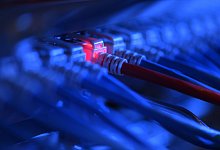 Netzwerkkabel - Foto: Felix K&auml;stle/dpa