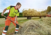 Maximilian K&ouml;hn schiebt die Haufen sauber zu einer langen Reihe zusammen, damit die Presse (hinten) sie gut anfahren und zu Ballen pressen kann. - Barbara Franke