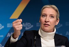 AfD stellt Kanzlerkandidatin vor - Carsten Koall/dpa