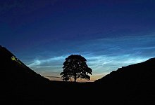 Sycamore Gap Tree - Owen Humphreys/PA Wire/dpa
