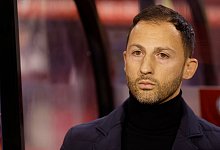 Domenico Tedesco - Geert Vanden Wijngaert/AP/dpa
