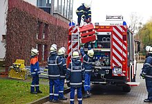 nic0548b - 1 - Nicole Ellerbrake