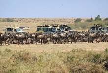 Masai Mara Nationalreservat in Kenia - Han Xu/XinHua/dpa