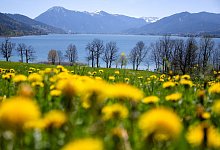 Sonne am Tegernsee - Sven Hoppe/dpa