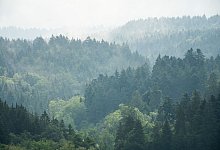 Wetter in Baden-Württemberg - Silas Stein/dpa