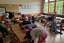 Stark wie ein Löwe - Nadine Uphoff